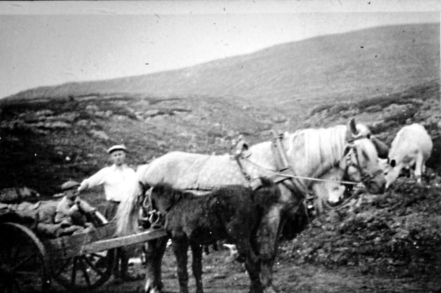 Dette er frå ein sætertur med Gula i 1938 eller – 39. Det var ei hoppe far hadde i mange år, som hadde mange føl og som gjekk Grimsdalen mange gonger. Den som sit på kjerra er eg (Hans Bergseng) og mannen ved sida er soknepresten i Dovre, Ingvald Skåre. Han heldt truleg si fyrste sætermesse i Grimsdalen på denne turen.